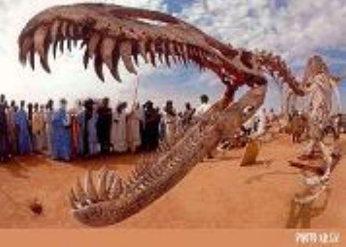 Le club des dinosoures du Niger