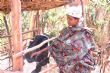 Burundi Eco  – One Acre Fund Tubura : Pour un avenir économique prospère des ménages