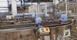 Botswana Bets on Infant Industries