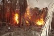 
				 Guelmim : Une centaine de palmiers ravagés par un incendie
			 