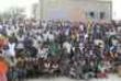

					Maisons et Centres Culturels:
	Instruments de valorisation du patrimoine artistique et culturel du Niger		

