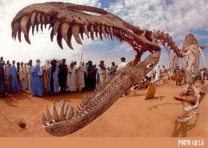 Le club des dinosoures du Niger