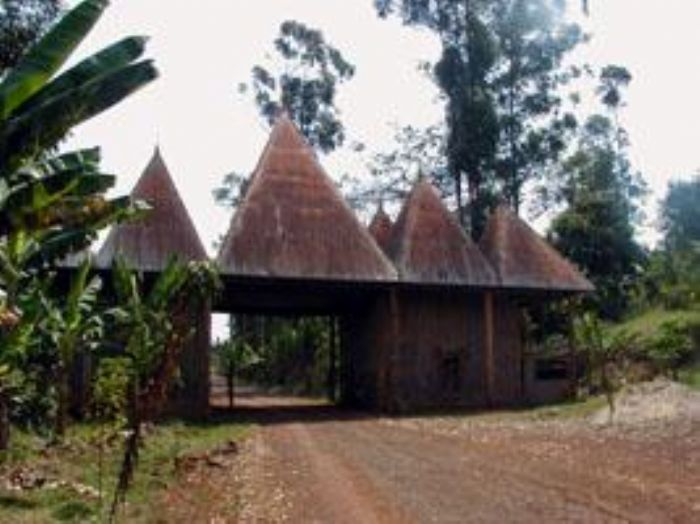 Chefferies et royaumes au Cameroun