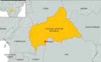 Over 100 Labourers Killed in Gold Mine Collapse in Central African Republic