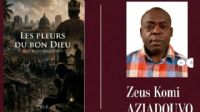 Zeus Komi Aziadouvo, de la Haute Autorité de l’Audiovisuel togolaise à l’écriture en exil