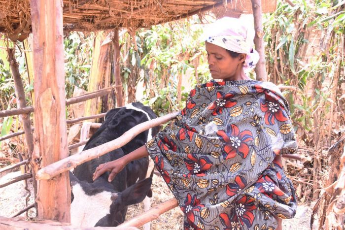 Burundi Eco  – One Acre Fund Tubura : Pour un avenir économique prospère des ménages
