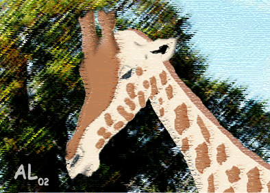 E-carte AL n&deg;12
