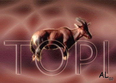 E-carte AL n&deg;10