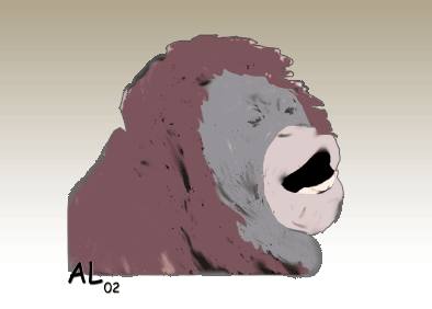 E-carte AL n&deg;13
